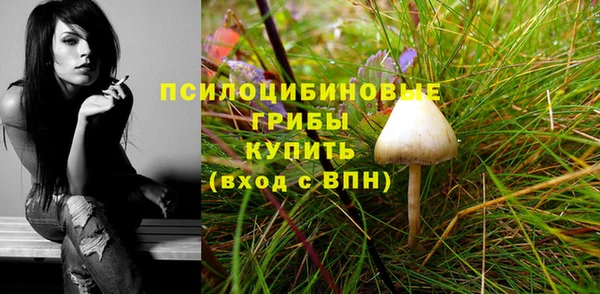 mdpv Гусев