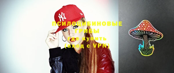 mdpv Гусев