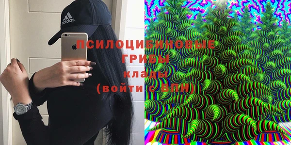 мет Гусиноозёрск