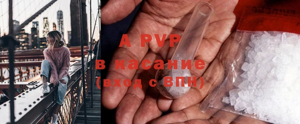 молекула духа Липки