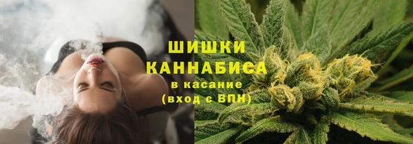 стаф Мегион