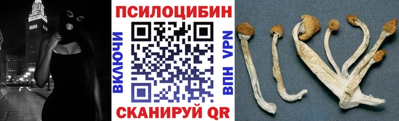 Псилоцибиновые грибы Psilocybe  цены   Нерюнгри 