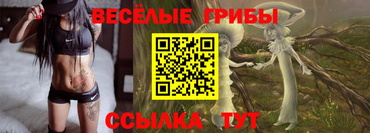 Галлюциногенные грибы мухоморы  Вход с VPN  Нерюнгри 